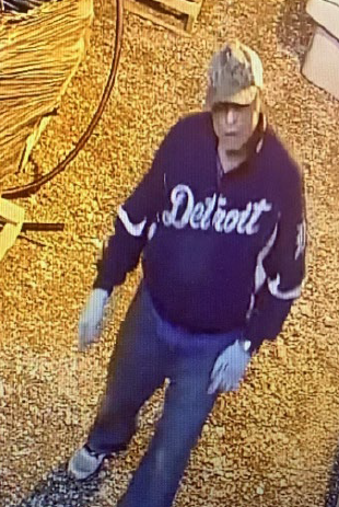 Crime Image